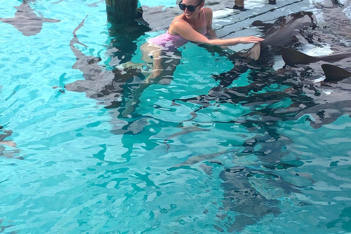 Nurse Sharks at Compass Cay