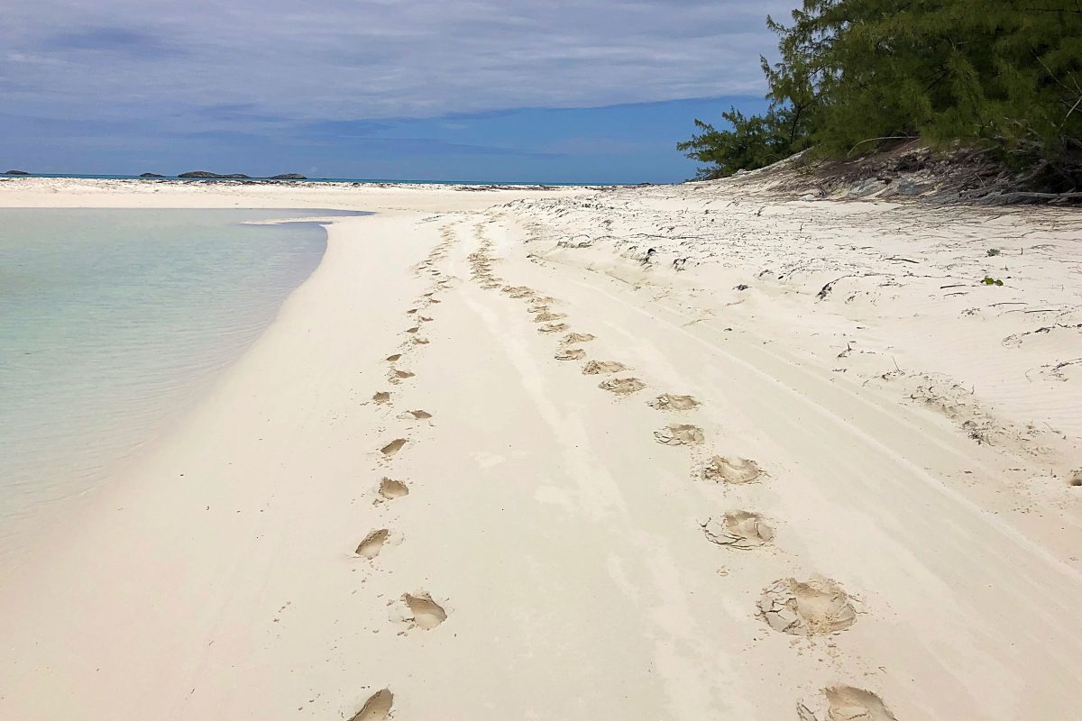 Christmas in Green Turtle Cay