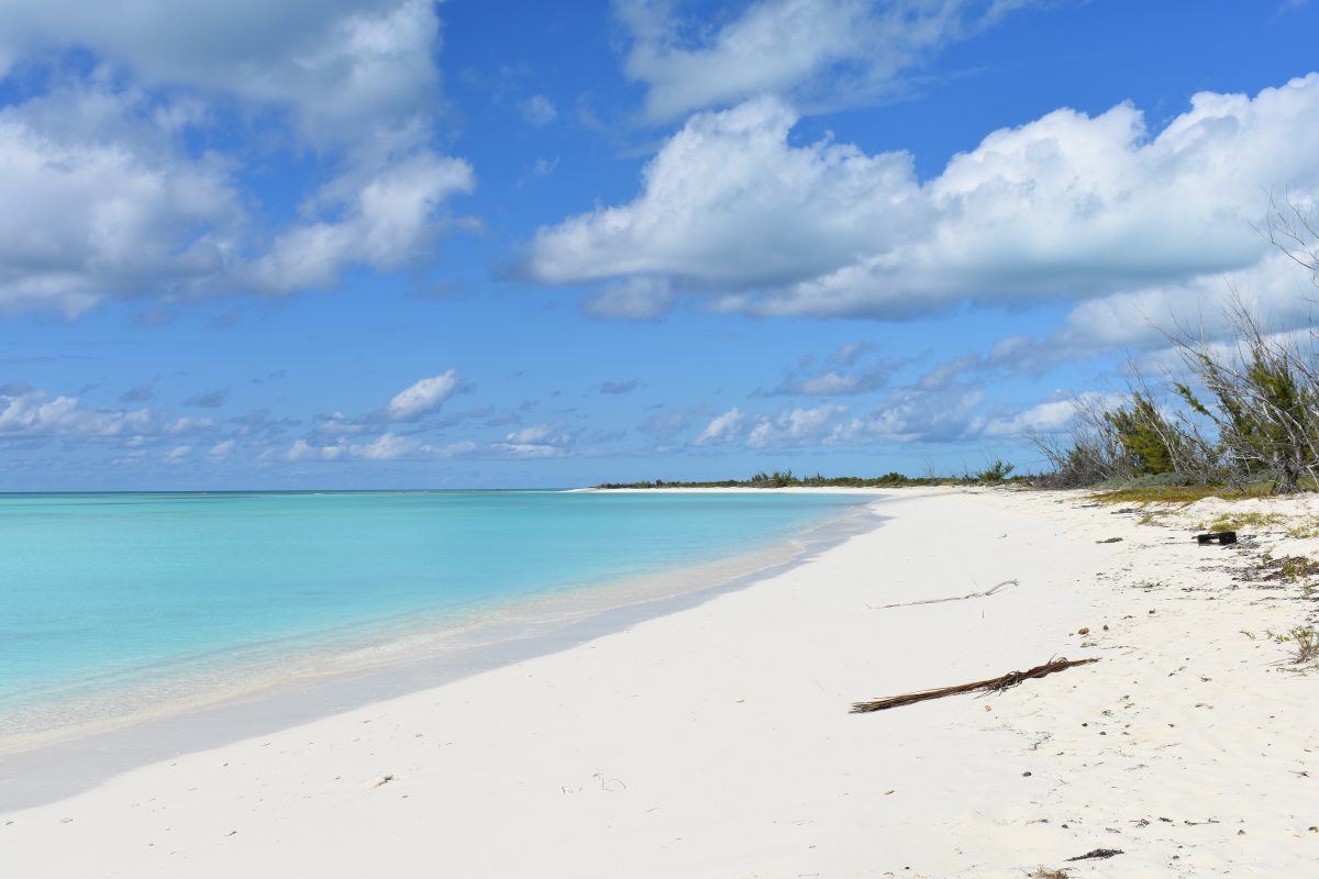 Lovely Long Island: Officially in the tropics