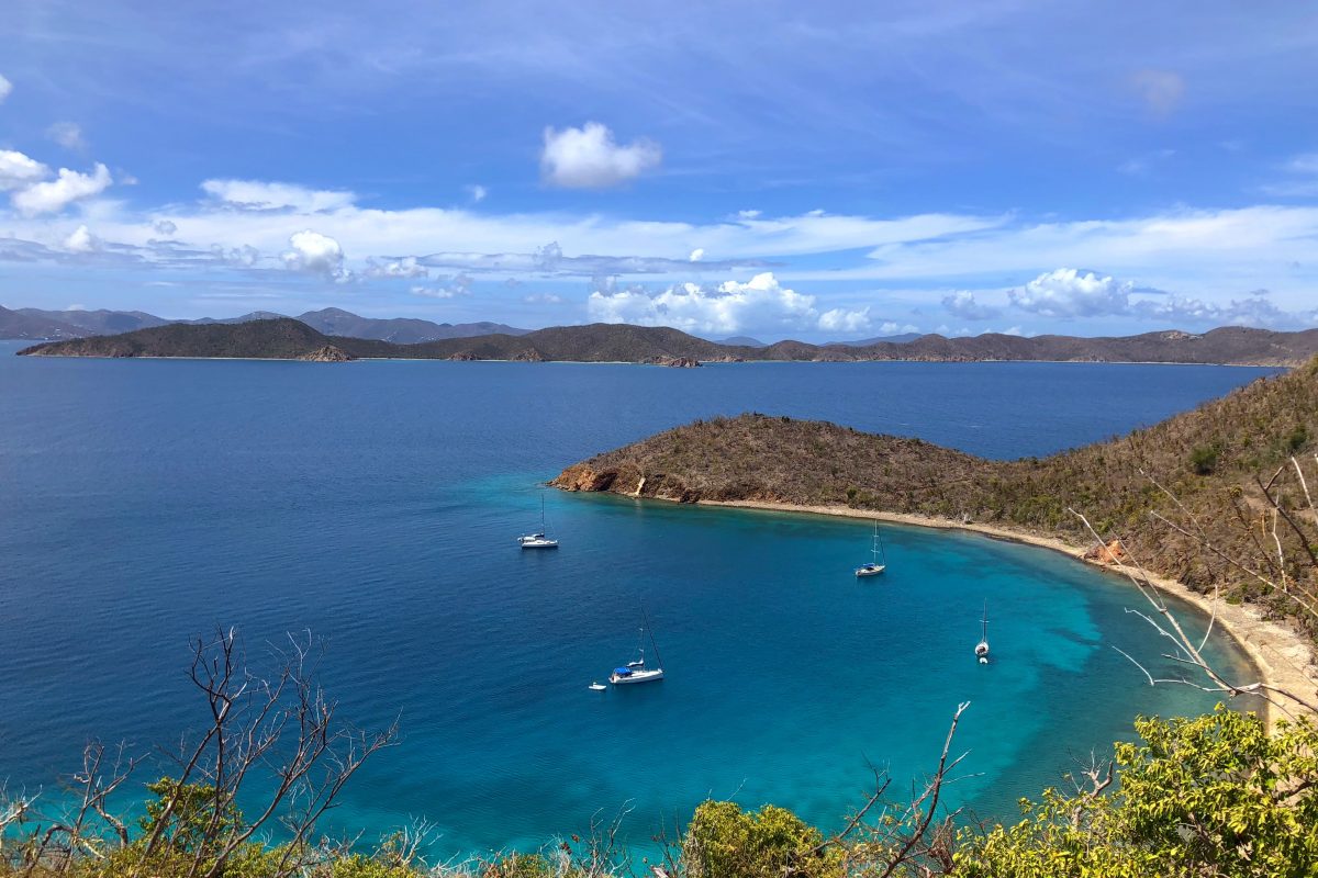 BVI: Exploring Nature’s little Secret